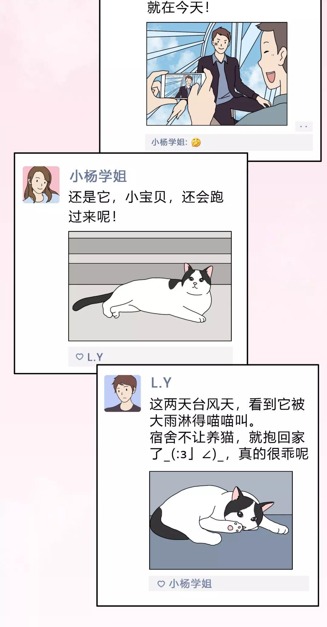 “我的朋友圈仅对你可见”