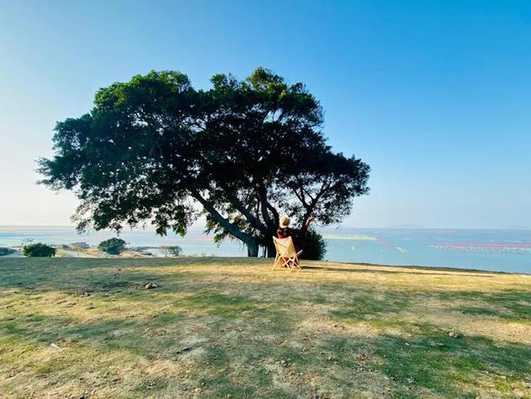 五一【走进中国第一侨乡】打卡《狂飙》取景地+1500亩葵林摄影圣地+古井烧鹅街