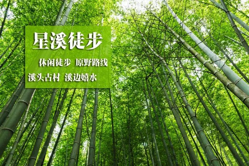 逢周六/日出发【星溪徒步】徒步穿越十里竹海 感受最美乡村小径