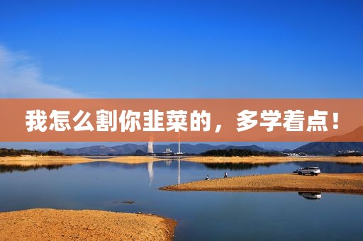 我怎么割你韭菜的,多学着点! 我怎么割你韭菜的,多学着点!