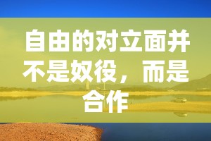 自由的对立面并不是奴役,而是合作 自由的对立面并不是奴役,而是合作