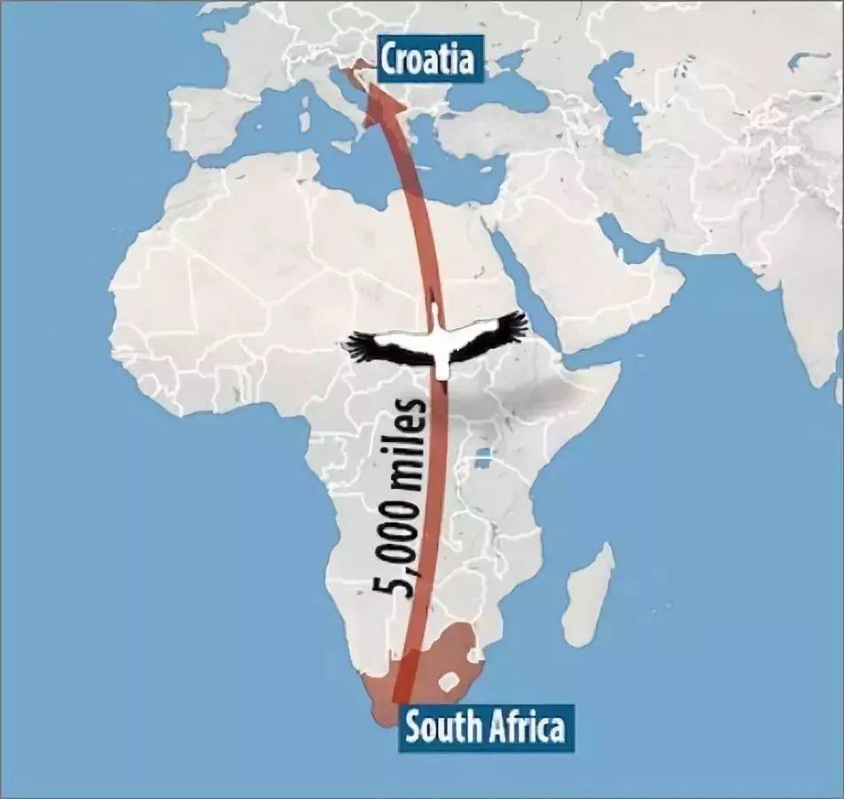 和情人异地17年,每年飞13000公里相见,却在情人生子后离开!这个“负心汉”看哭了全世界……