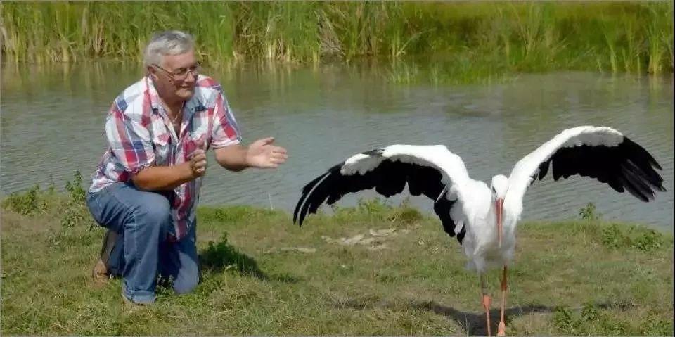 和情人异地17年,每年飞13000公里相见,却在情人生子后离开!这个“负心汉”看哭了全世界……