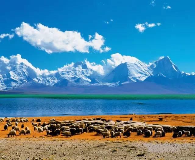 智旅会：真实的西藏有多惊人，看完后你就懂了：我们为什么每年都要去西藏！ 