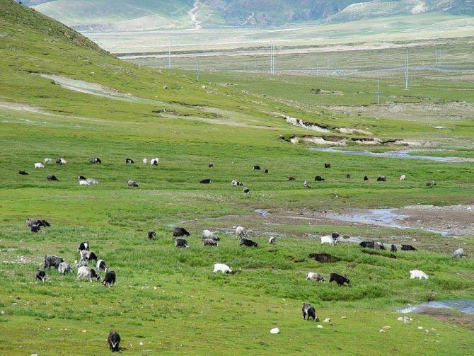 智旅会：真实的西藏有多惊人，看完后你就懂了：我们为什么每年都要去西藏！ 
