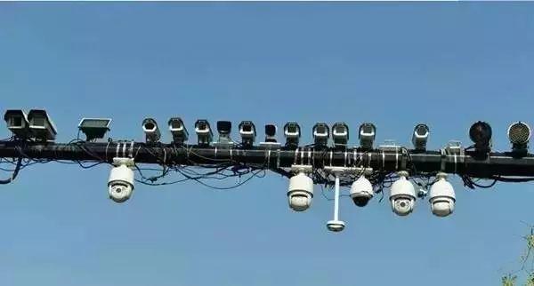 蝉禅:胡言,乱语