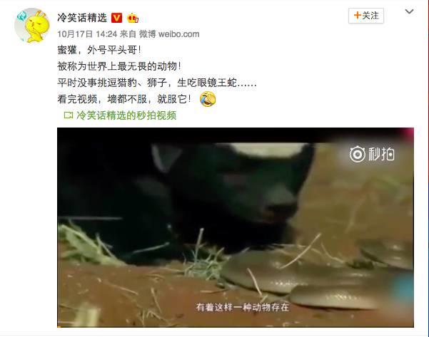 话说平头哥:生死看淡、不服就干!