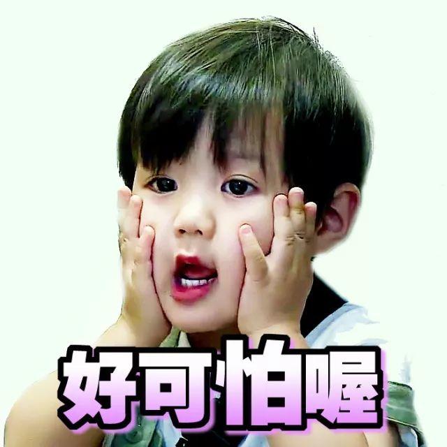 话说平头哥:生死看淡、不服就干!