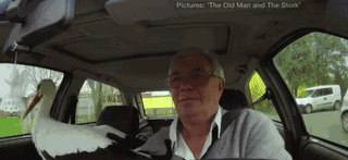 和情人异地17年,每年飞13000公里相见,却在情人生子后离开!这个“负心汉”看哭了全世界……