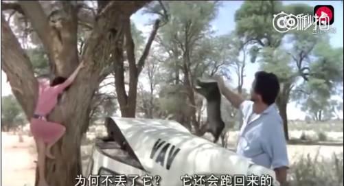 话说平头哥:生死看淡、不服就干!