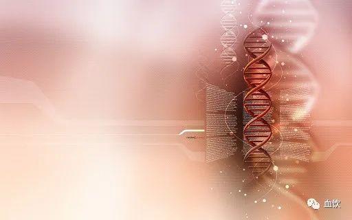 血饮丨血色双眸凝视欧亚大陆，正义之师鏖战人间恶魔！ 