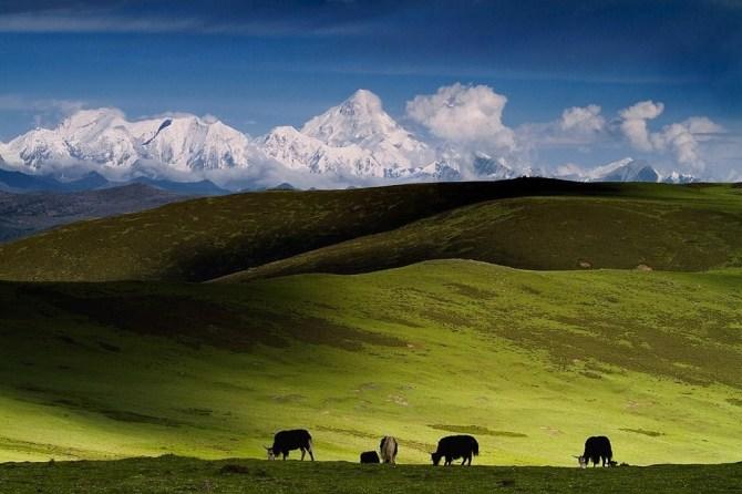 智旅会：真实的西藏有多惊人，看完后你就懂了：我们为什么每年都要去西藏！ 