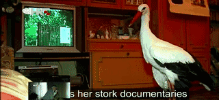 和情人异地17年,每年飞13000公里相见,却在情人生子后离开!这个“负心汉”看哭了全世界……