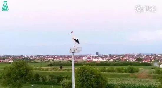 和情人异地17年,每年飞13000公里相见,却在情人生子后离开!这个“负心汉”看哭了全世界……