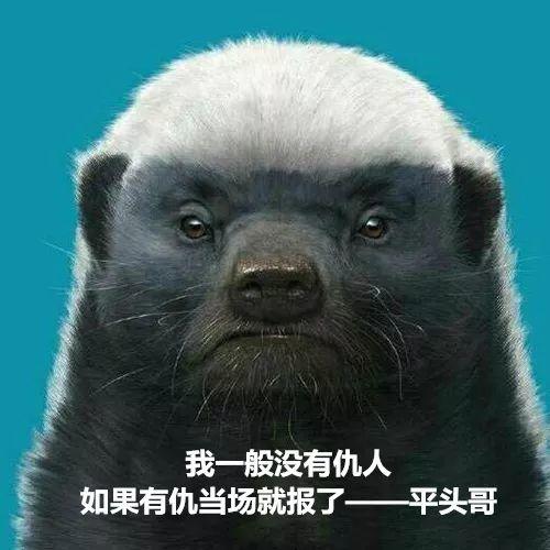 话说平头哥:生死看淡、不服就干!