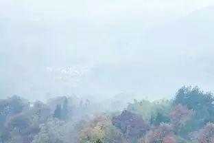 秋到协里