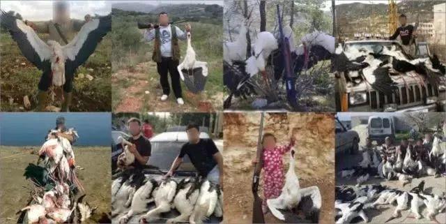 和情人异地17年,每年飞13000公里相见,却在情人生子后离开!这个“负心汉”看哭了全世界……