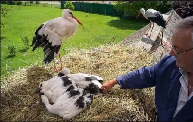 和情人异地17年,每年飞13000公里相见,却在情人生子后离开!这个“负心汉”看哭了全世界……