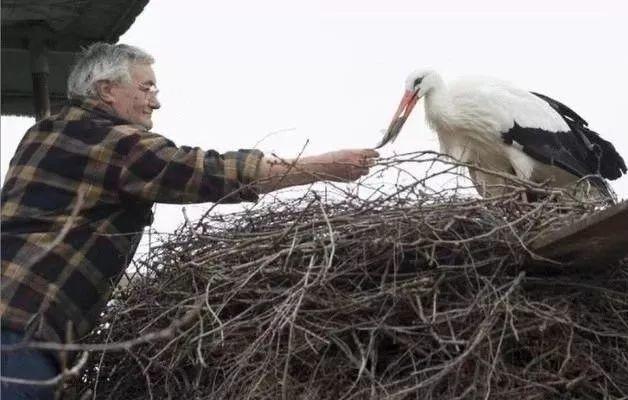 和情人异地17年,每年飞13000公里相见,却在情人生子后离开!这个“负心汉”看哭了全世界……