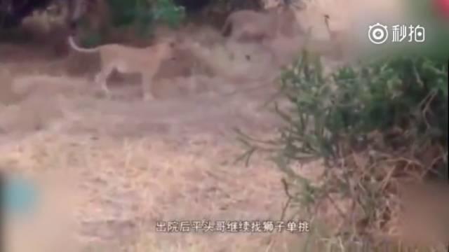 话说平头哥:生死看淡、不服就干!