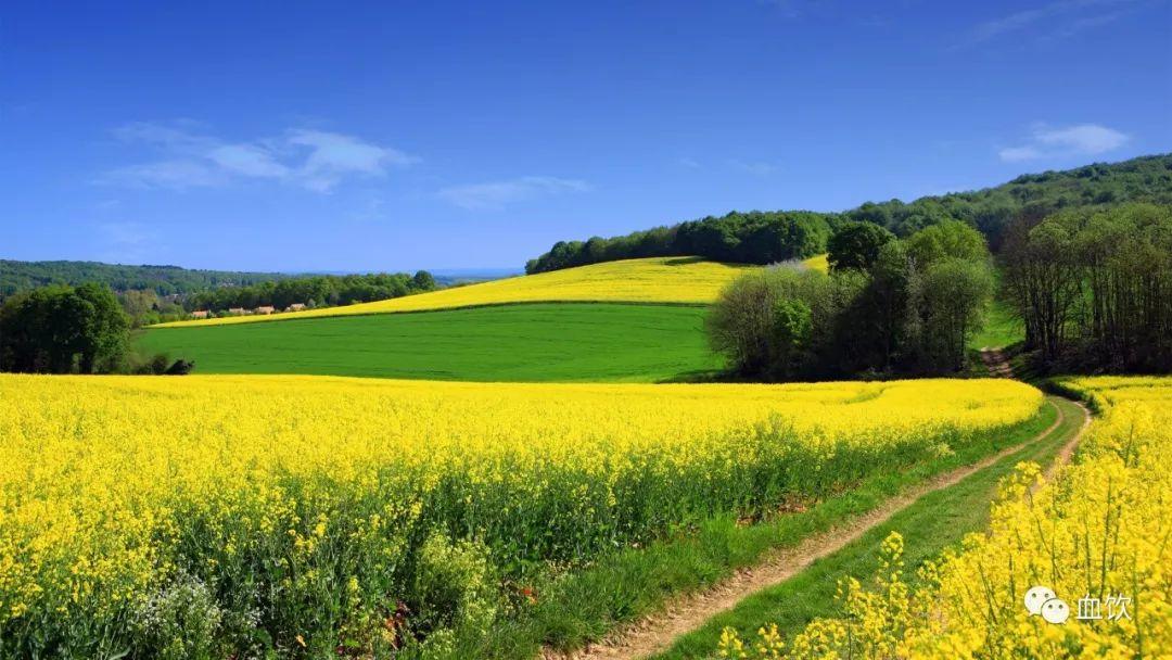 血饮丨血色双眸凝视欧亚大陆，正义之师鏖战人间恶魔！ 