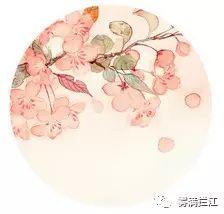 认知层级，决定你的社会位置 