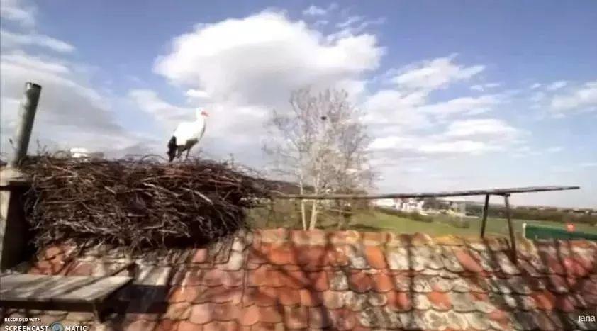 和情人异地17年,每年飞13000公里相见,却在情人生子后离开!这个“负心汉”看哭了全世界……