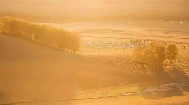 蝉禅:你敢归零吗?