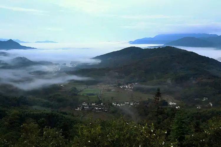 秋到协里
