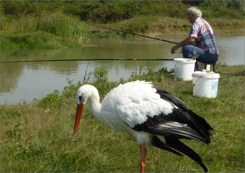 和情人异地17年,每年飞13000公里相见,却在情人生子后离开!这个“负心汉”看哭了全世界……