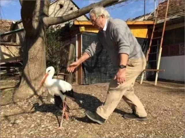 和情人异地17年,每年飞13000公里相见,却在情人生子后离开!这个“负心汉”看哭了全世界……