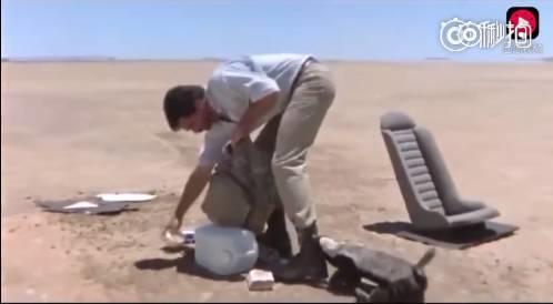 话说平头哥:生死看淡、不服就干!