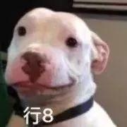 快过年了，你妈烫头了吗？哈哈哈哈哈哈哈哈哈哈 