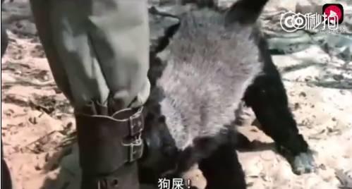 话说平头哥:生死看淡、不服就干!