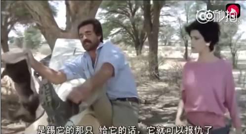 话说平头哥:生死看淡、不服就干!