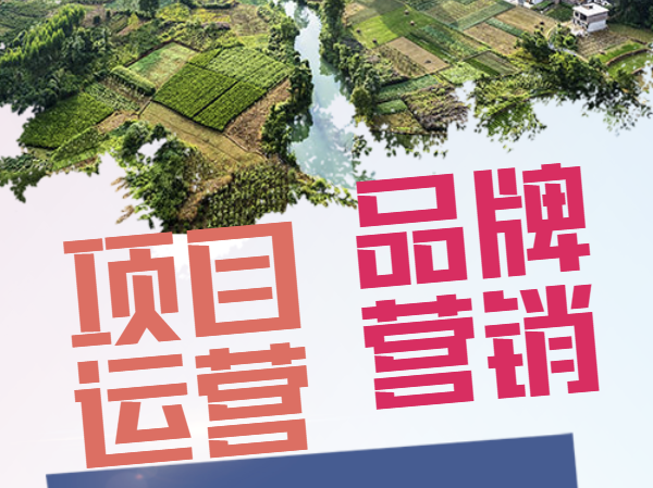 泡泡哥网站-虚拟资料-大全 
