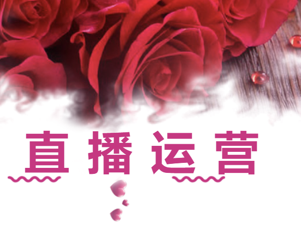 泡泡哥网站-虚拟资料-大全 