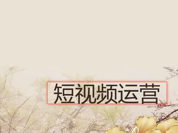 泡泡哥网站-虚拟资料-大全 
