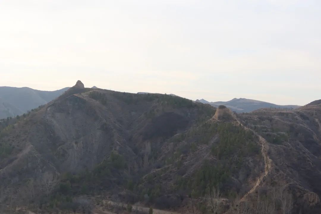 后续，上位ING！ 