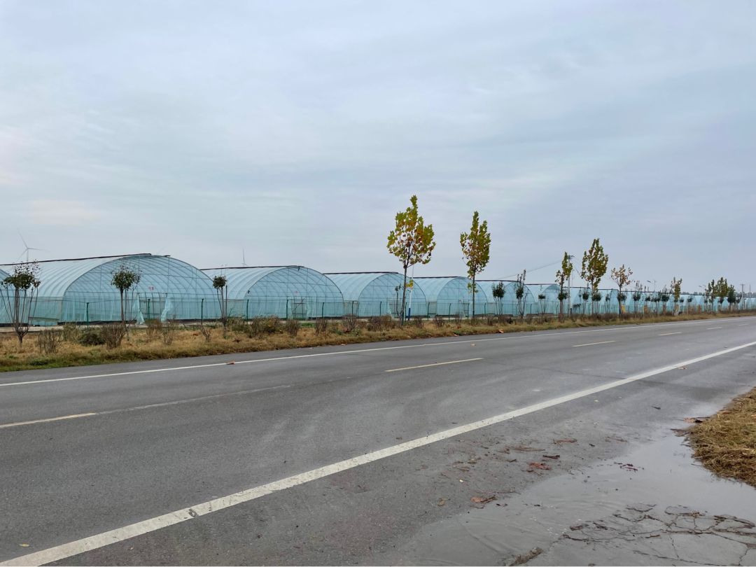 《懂懂骑山东》--菏泽鄄城县