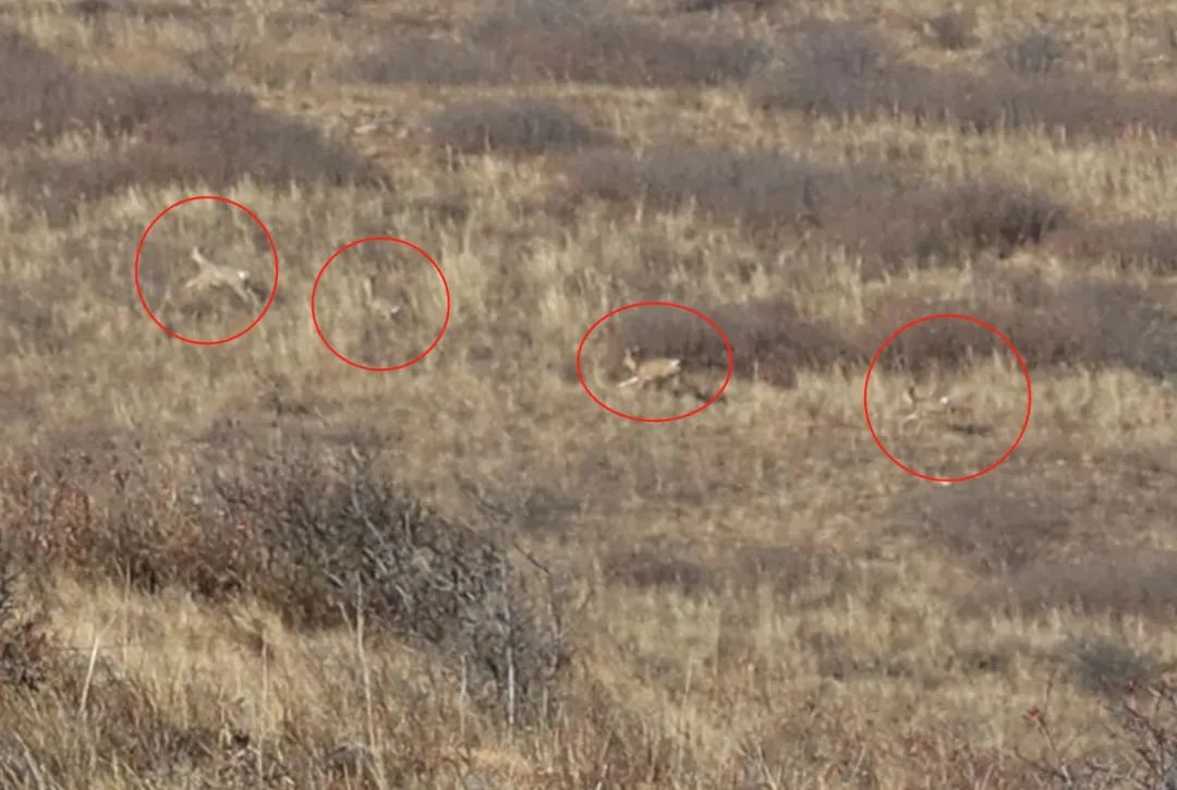 我从山海关爬到了嘉峪关(连载九)