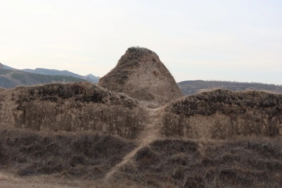 后续，上位ING！ 