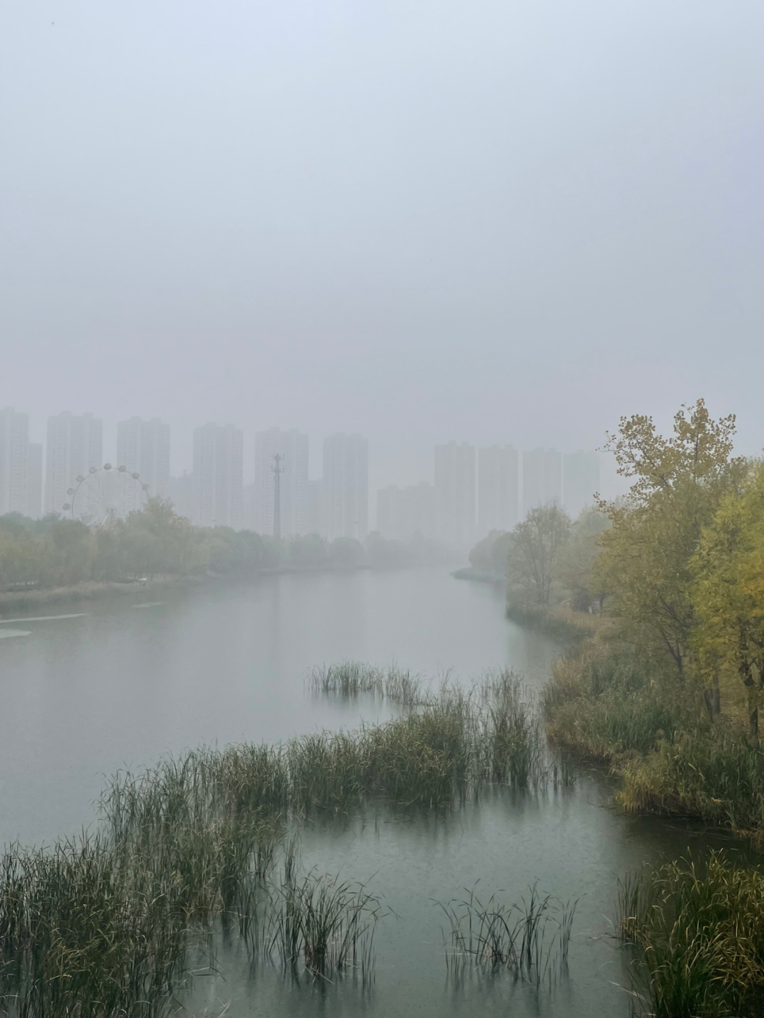 《懂懂骑山东》--菏泽巨野县 
