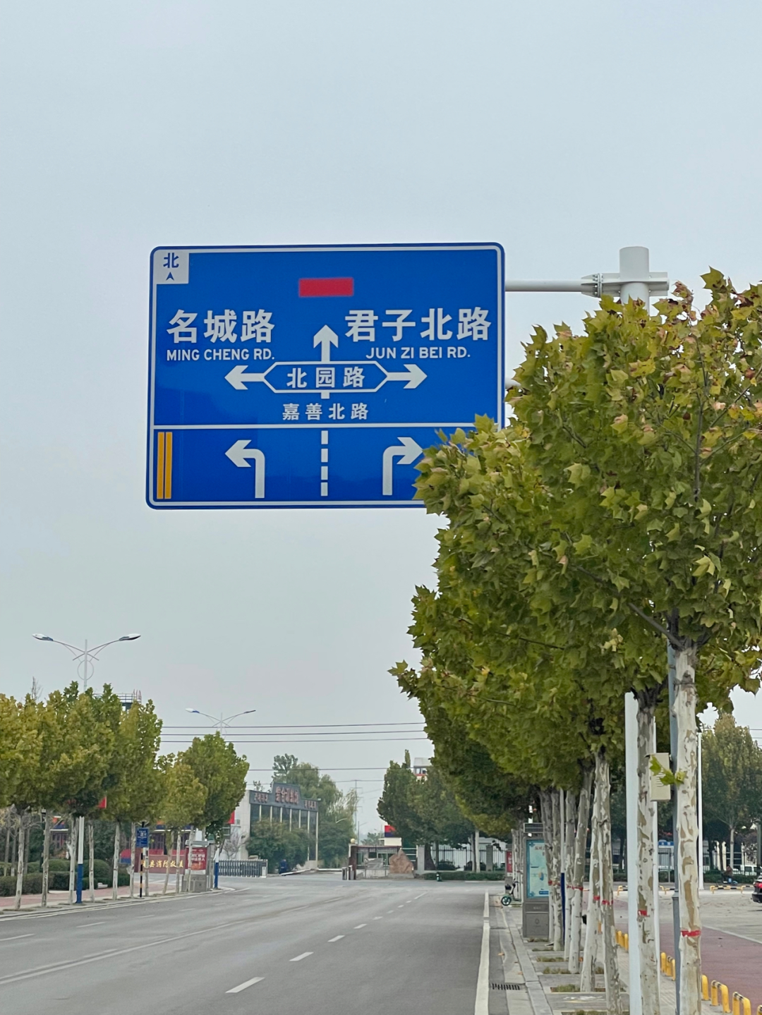 《懂懂骑山东》--菏泽单县 