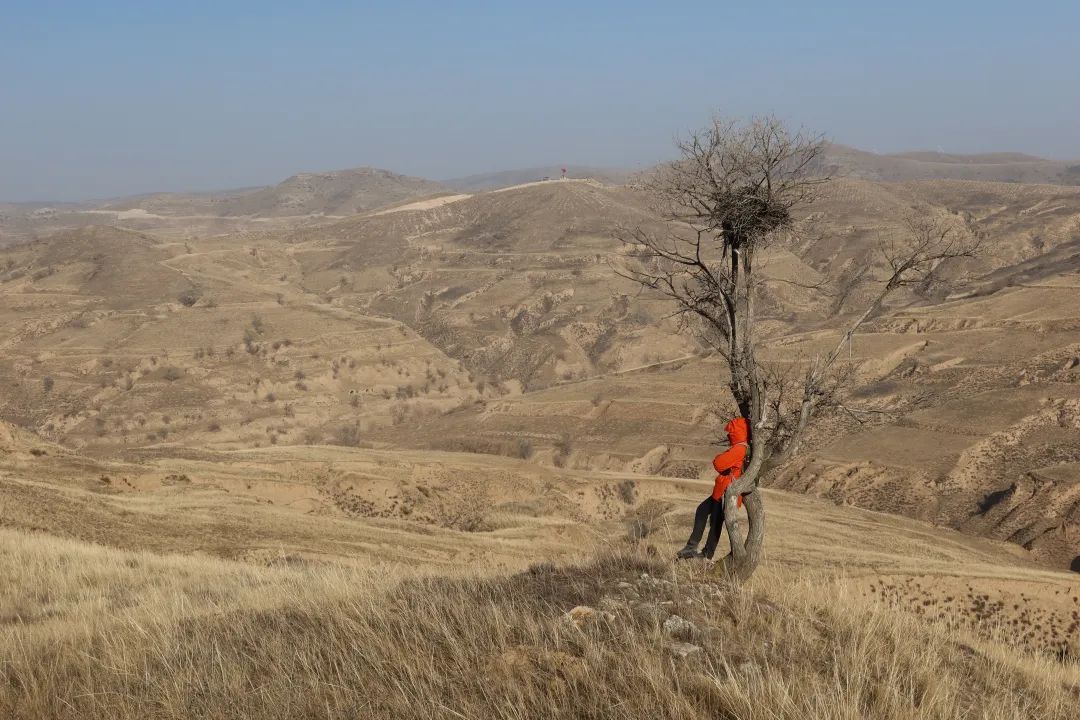 我从山海关爬到了嘉峪关(连载九)