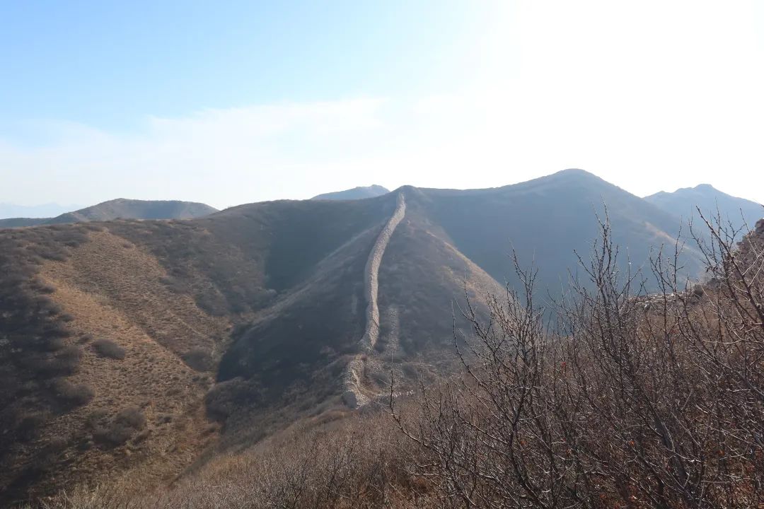 后续，上位ING！ 