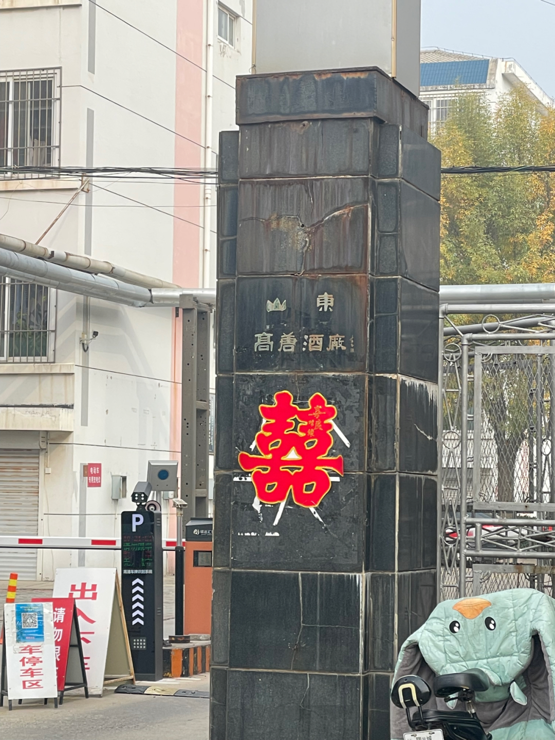 《懂懂骑山东》--聊城高唐县 