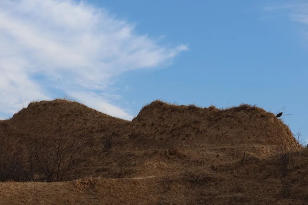 后续，上位ING！ 