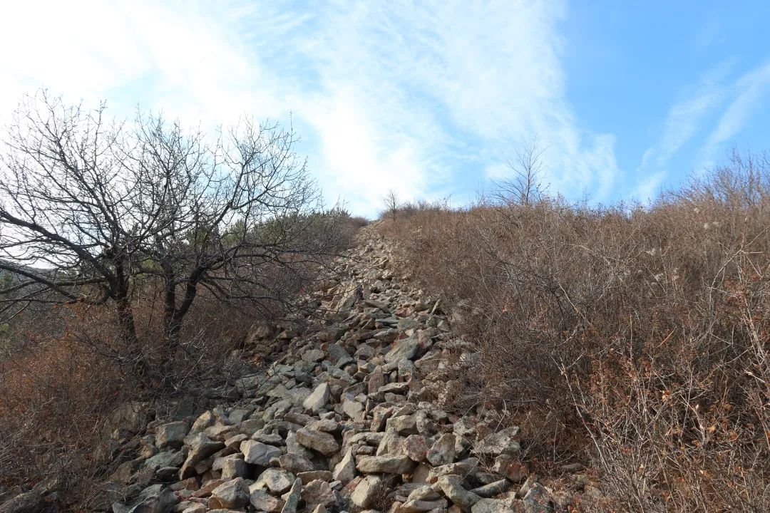 后续，上位ING！ 