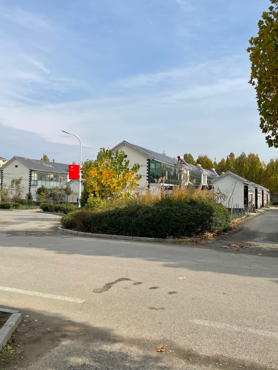 《懂懂骑山东》--菏泽东明县 